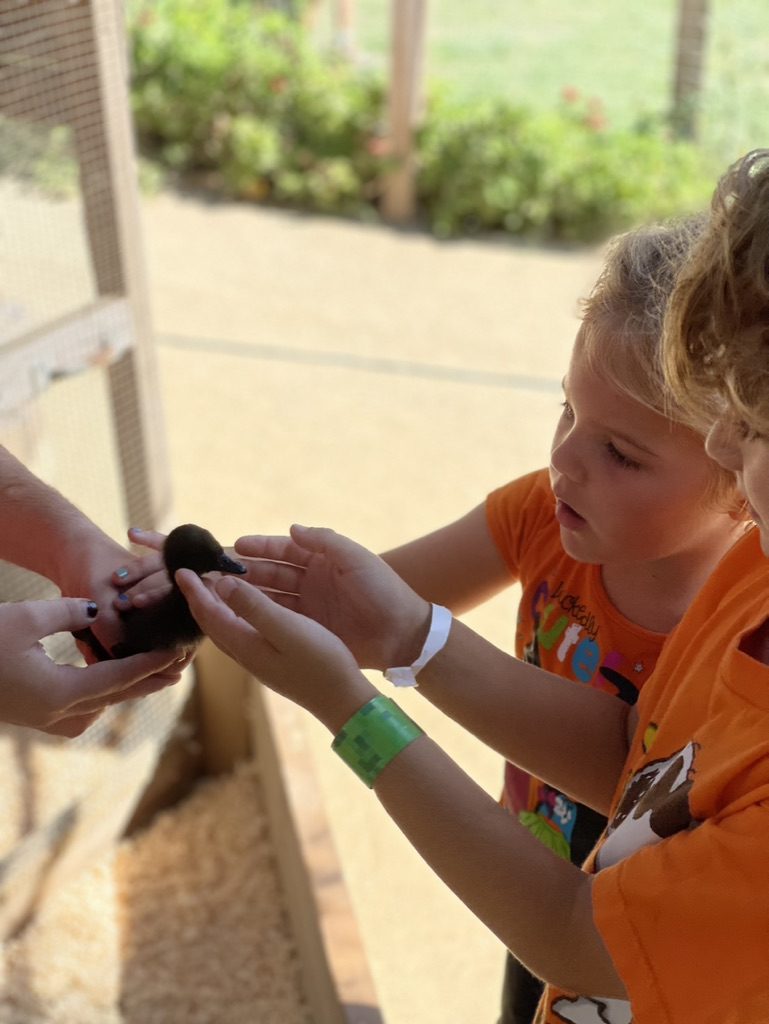 Children holding a baby duck at the Underwood Family Farms animal center